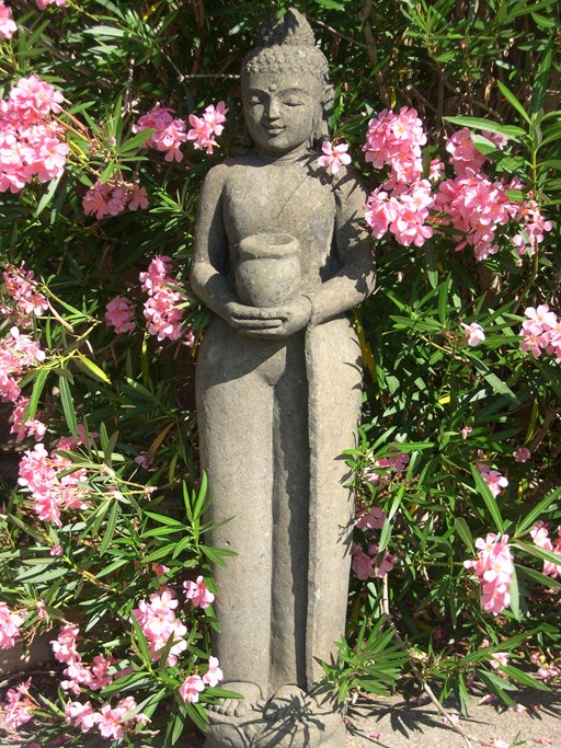 image introuvable pour Bouddha